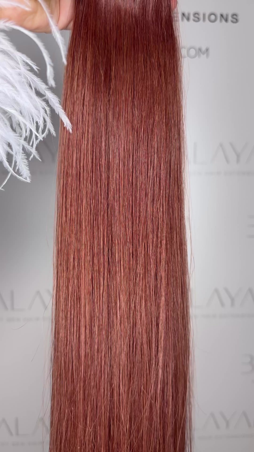 Mahogany Muse Clip In Extensions